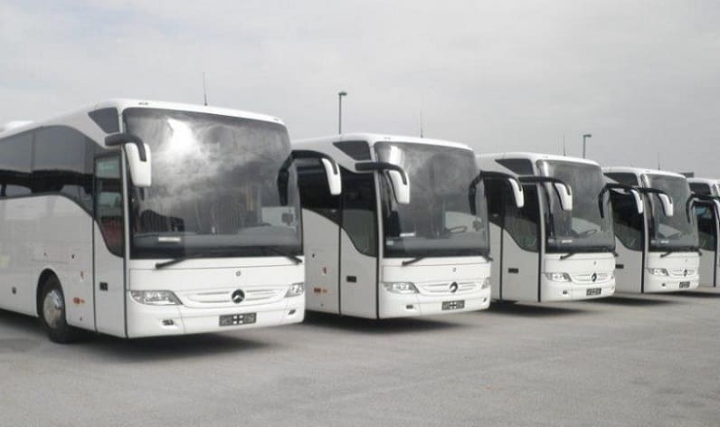 England: Bus company in Washington in Washington and United Kingdom